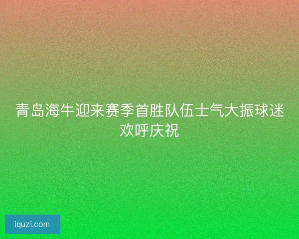 青岛海牛迎来赛季首胜队伍士气大振球迷欢呼庆祝